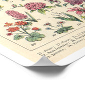  paardebloemen poster (Hoek)