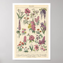 paardebloemen poster