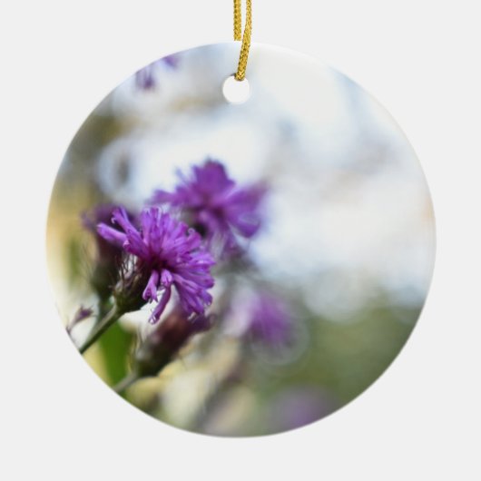  paardebloemen - Speciaal gepersonaliseerde Garden Keramisch Ornament (Voorkant)