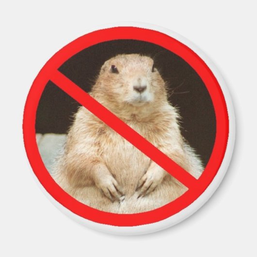 paardehond magneet (Voorkant)