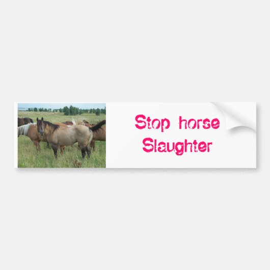 paarden_015, Stop-paard-slachting Bumpersticker (Voorkant)