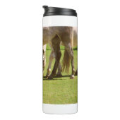 Paarden 11 thermosbeker (Geroteerd rechts)