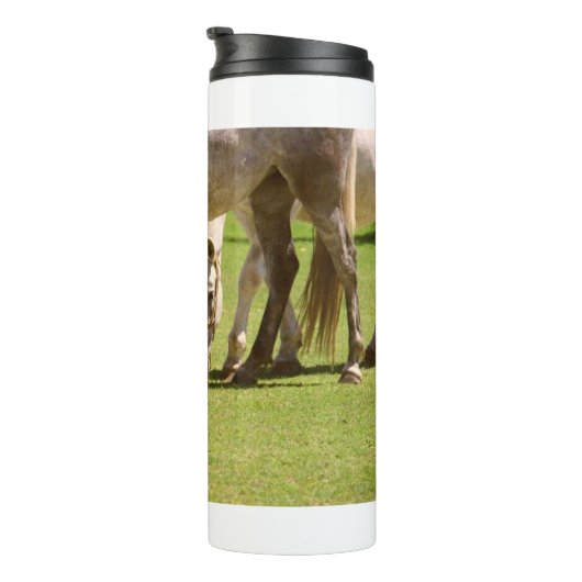 Paarden 11 thermosbeker (Geroteerd rechts)