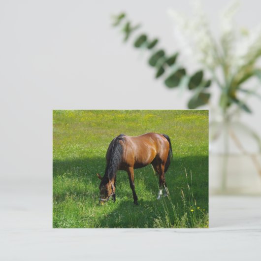 Paarden #1 briefkaart (Staand voorkant)