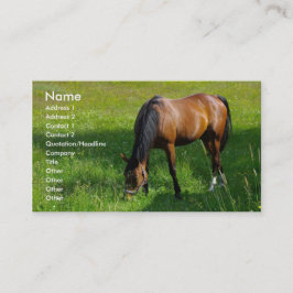 Paarden #1 visitekaartje