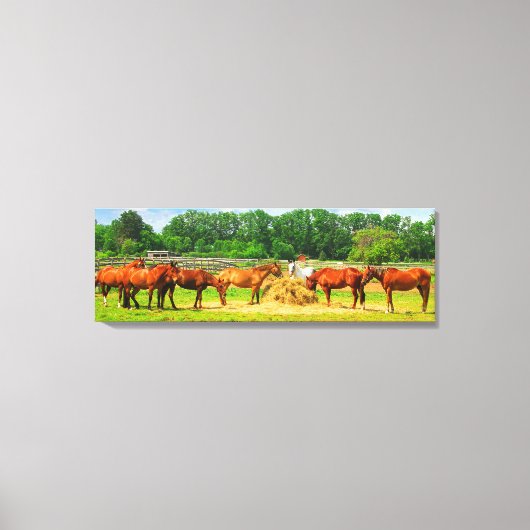 Paarden [36x12] inch canvas afdruk (Voorkant)
