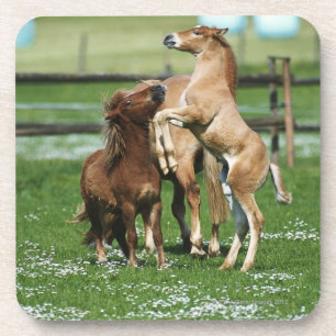 Paarden 3 drankjes onderzetter