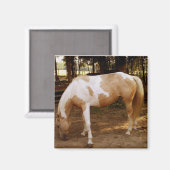 Paarden 3, Magnet (Voorkant / Achterkant)