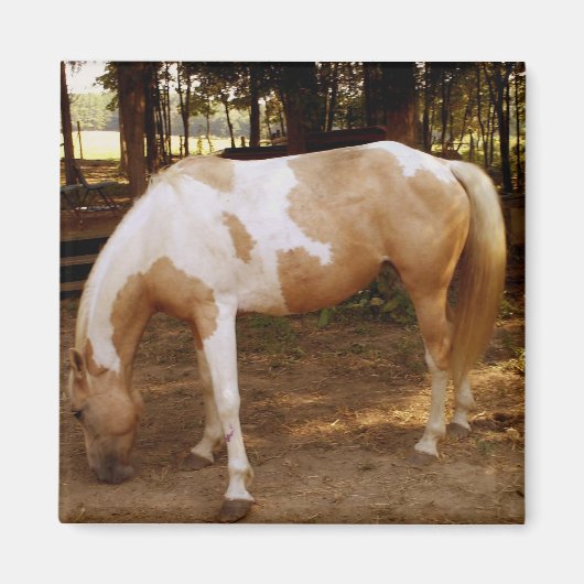 Paarden 3, Magnet (Voorkant)