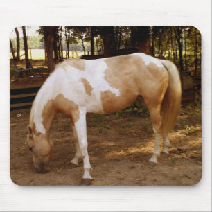 Paarden 3, Muismat