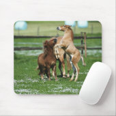 Paarden 3 muismat (Met muis)