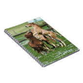 Paarden 3 notitieboek (Rechterzijde)