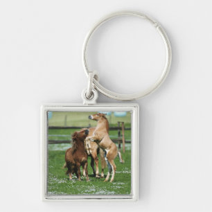 Paarden 3 sleutelhanger