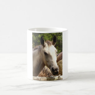Paarden 4 Mok