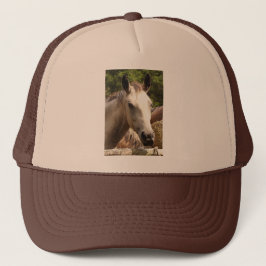 Paarden 4,Pet Trucker Pet