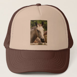 Paarden 4,Pet Trucker Pet