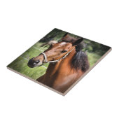 Paarden 8674 tegeltje (Zijkant)