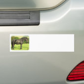 Paarden 9A53D-20 Bumpersticker (Op auto)
