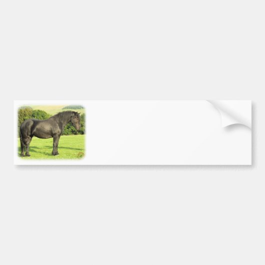 Paarden 9A53D-20 Bumpersticker (Voorkant)