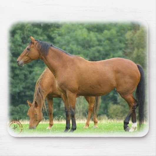 Paarden 9A81D-10 Muismat (Voorkant)