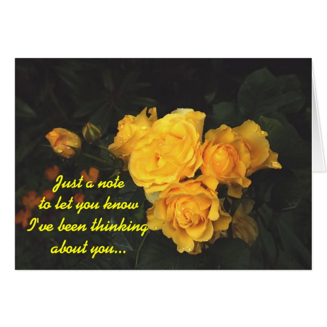 Paarden A** (Voorkant Horizontaal)