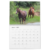 Paarden Aangepaste agenda Kalender (Mar 2027)