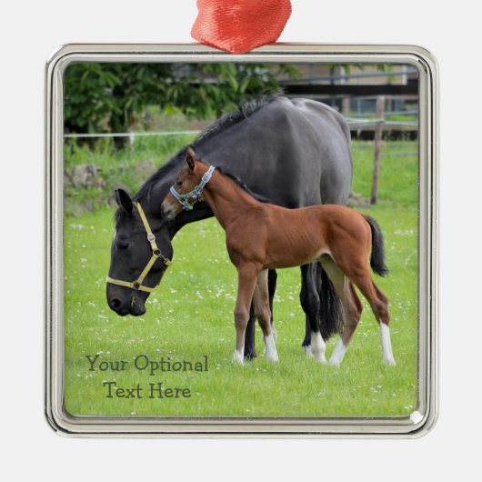 Paarden aangepaste versieringen metalen ornament (Voorkant)