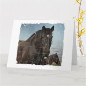 Paarden achter het hek kaart (Gele Bloem)