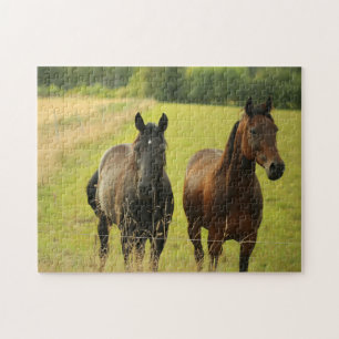 Paarden Afbeelding Shot Jigzaag Puzzle Legpuzzel