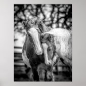 Paarden afdrukken/Poster Poster (Voorkant)