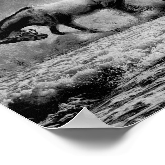 Paarden  afschilderen ontkoppeling afdrukken poster (Hoek)