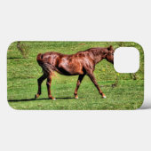 Paarden - Amerikaans Western thema Case-Mate iPhone Case (Achterkant (horizontaal))