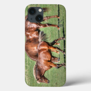 Paarden - Amerikaans Western thema iPhone 13 Hoesje