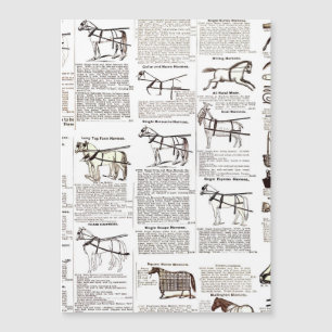 Paarden Antiek Adverteren krantenkunst