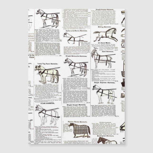 Paarden Antiek Adverteren krantenkunst (Voorkant)