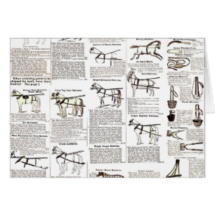 Paarden Antiek Adverteren krantenkunst