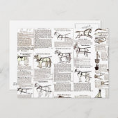 Paarden Antiek Adverteren krantenkunst Briefkaart (Voorkant / Achterkant)