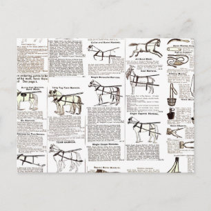 Paarden Antiek Adverteren krantenkunst Briefkaart