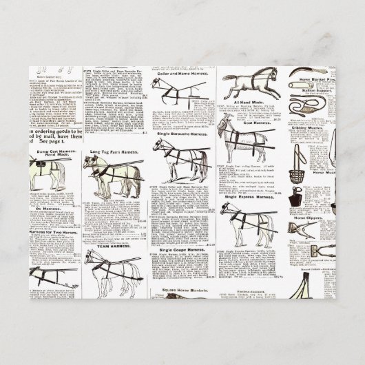Paarden Antiek Adverteren krantenkunst Briefkaart (Voorkant)