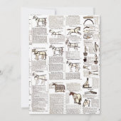 Paarden Antiek Adverteren krantenkunst Kaart (Achterkant)