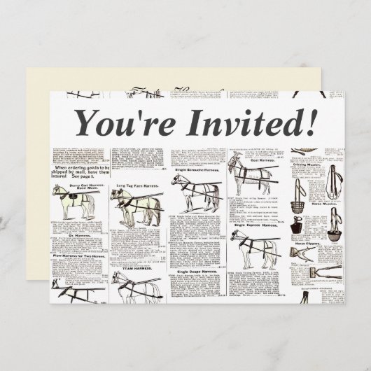 Paarden Antiek Adverteren krantenkunst Kaart (Voorkant / Achterkant)