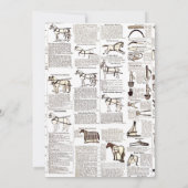 Paarden Antiek Adverteren krantenkunst Kaart (Achterkant)