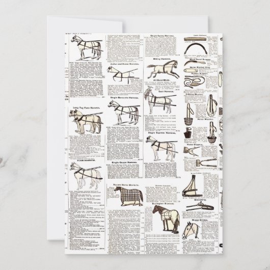 Paarden Antiek Adverteren krantenkunst Kaart (Achterkant)