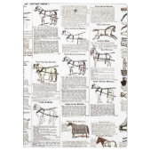 Paarden Antiek Adverteren krantenkunst Klembord (Achterkant)