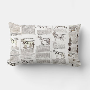 Paarden Antiek Adverteren krantenkunst Kussen