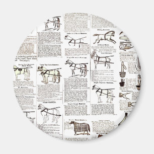 Paarden Antiek Adverteren krantenkunst Magneet