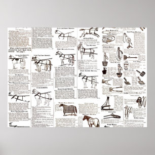 Paarden Antiek Adverteren krantenkunst Poster