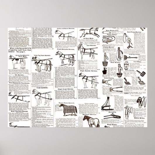 Paarden Antiek Adverteren krantenkunst Poster (Voorkant)