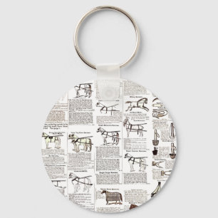 Paarden Antiek Adverteren krantenkunst Sleutelhanger