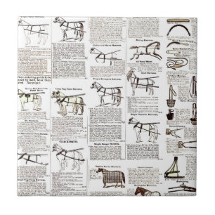 Paarden Antiek Adverteren krantenkunst Tegeltje